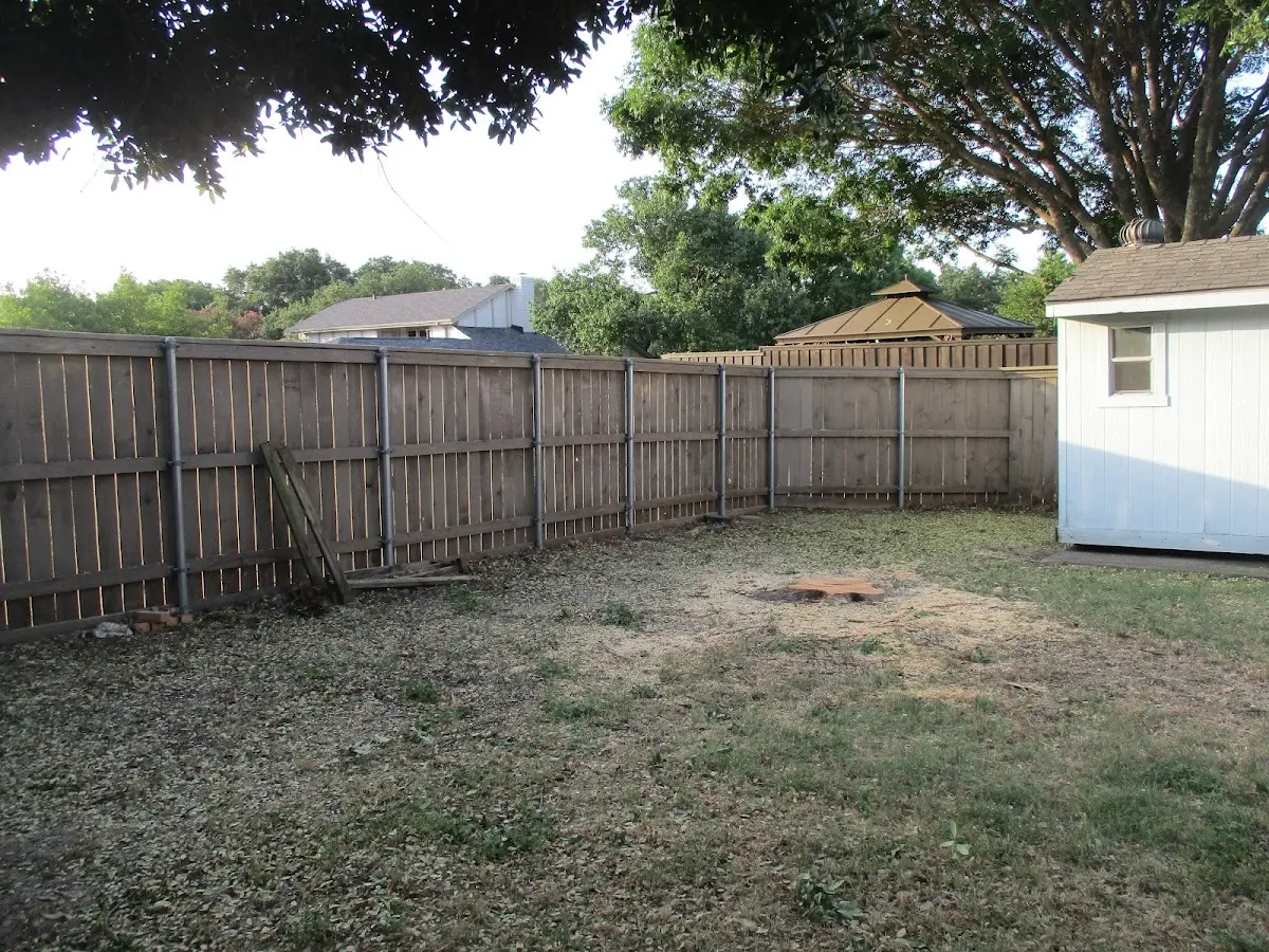 Cleared yard after professional tree removal in Yeaddiss